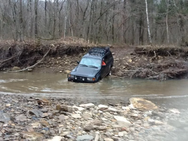 image-3686377089.webp