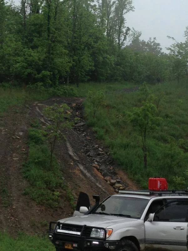image-3739318954.webp