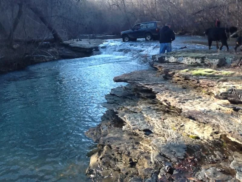 image-375736737.webp