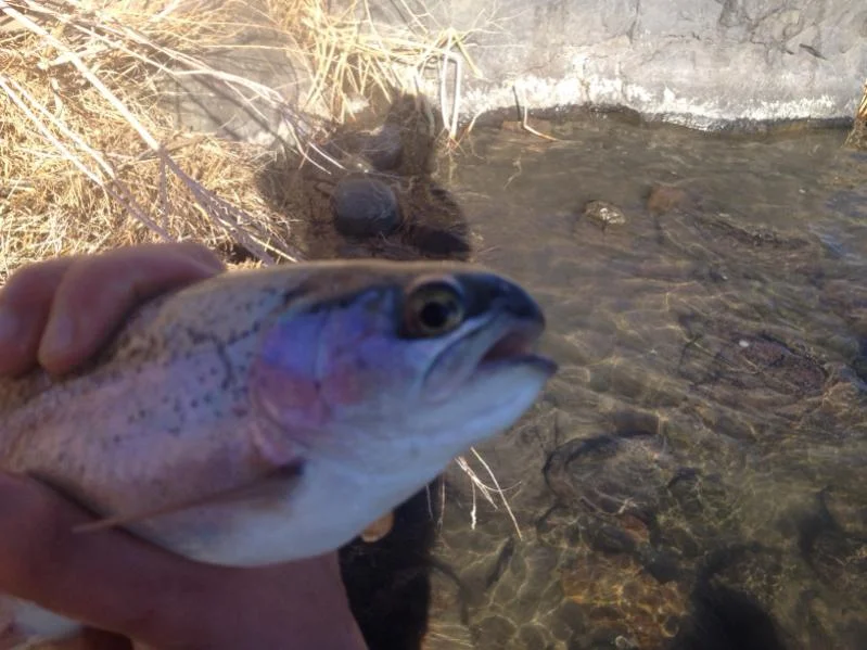 image-3804734716.webp