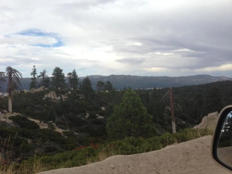 image-3820133253.webp