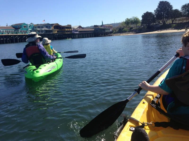 image-3830391747.webp