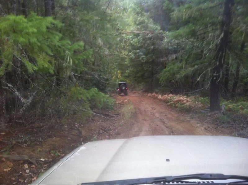 image-3895028694.webp