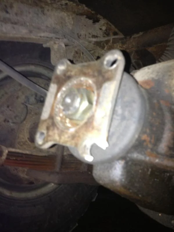 image-3975199117.webp