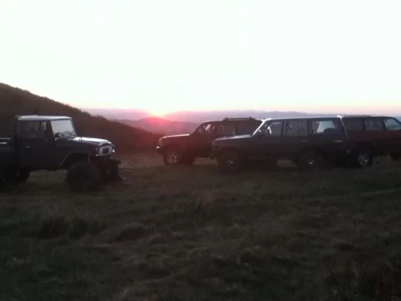 image-4012422187.webp