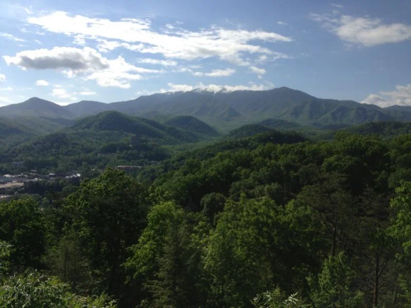 image-4017091523.webp