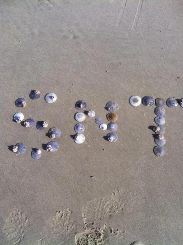 image-407179845.webp