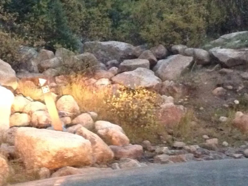image-4074860618.webp