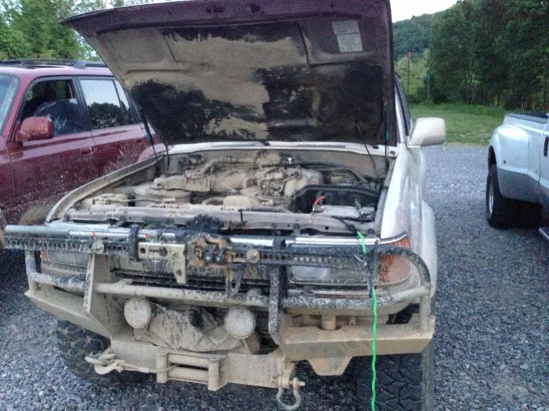 image-4084353258.webp
