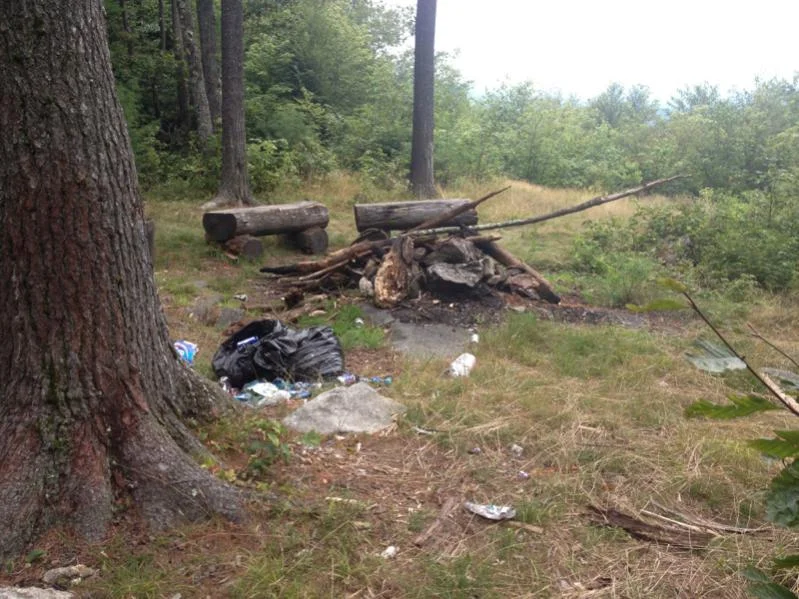 image-4098927205.webp