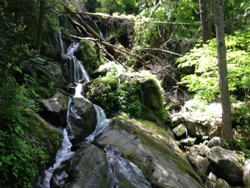 image-4109086190.webp