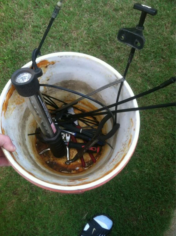 image-4122575565.webp