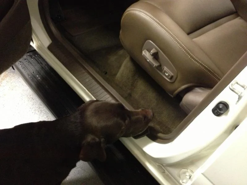 image-412335064.webp