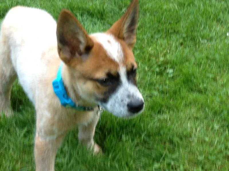 image-413045544.webp