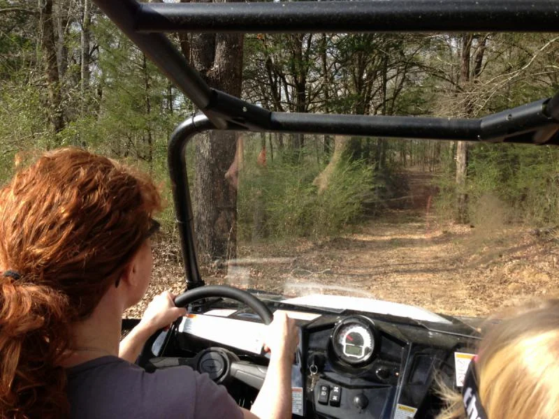 image-4133621868.webp
