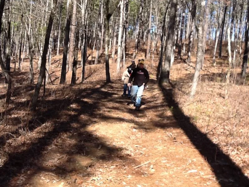 image-4137795569.webp