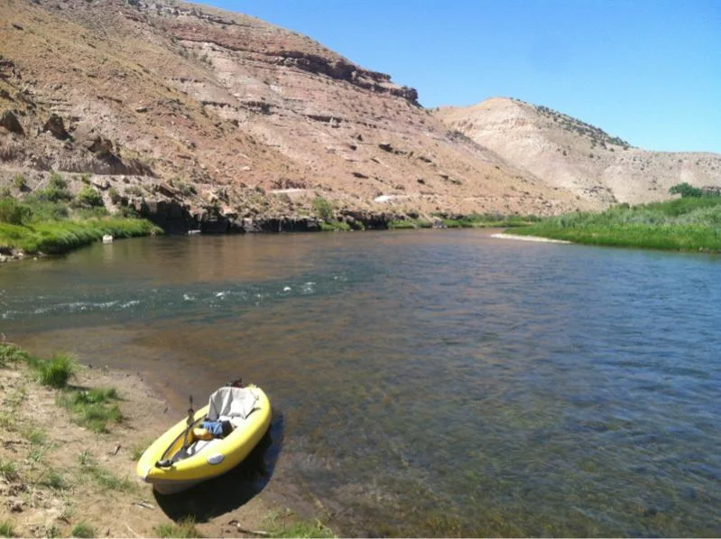 image-4174581318.webp