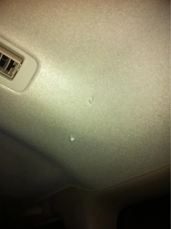 image-4190951476.webp
