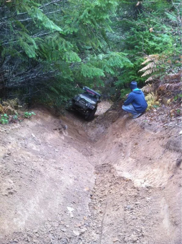 image-425334711.webp