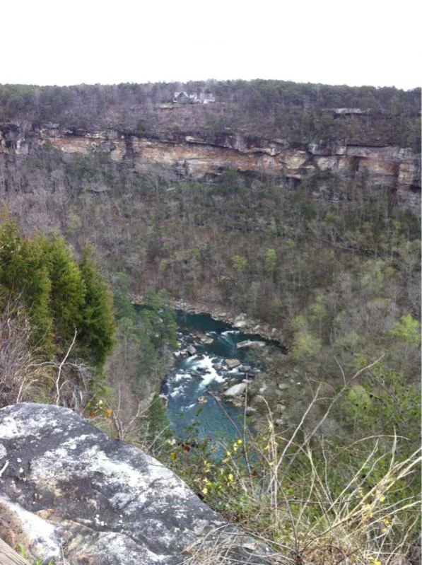image-4268531459.webp