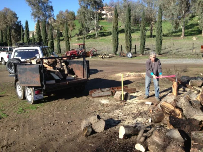 image-4908606.webp