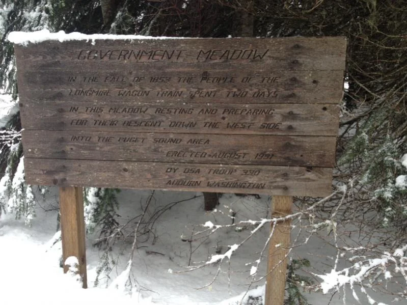 image-504023811.webp