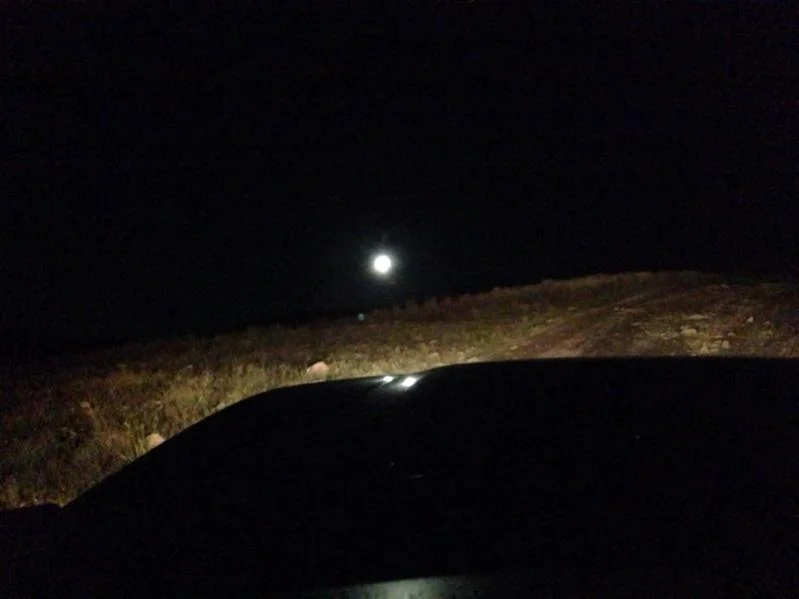 image-50413352.webp