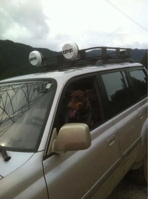 image-556218018.webp