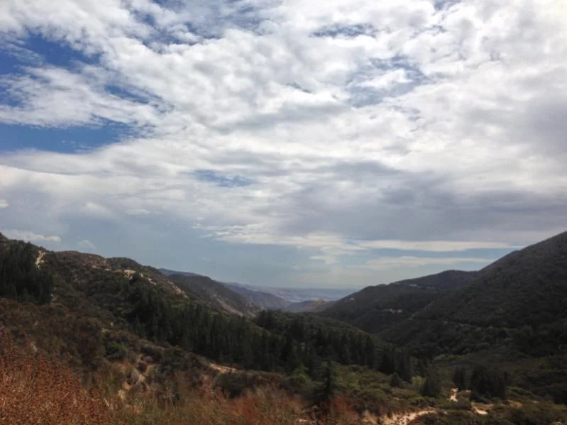 image-594517639.webp