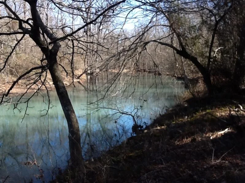 image-597148491.webp