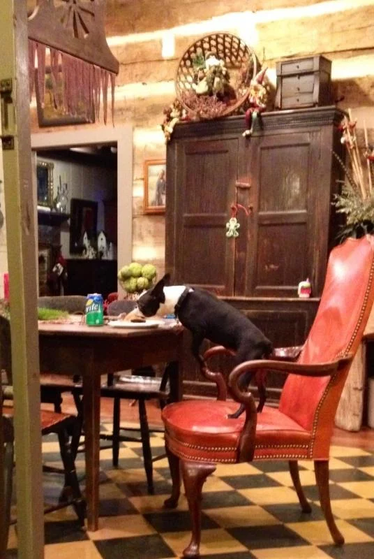 image-63678520.webp