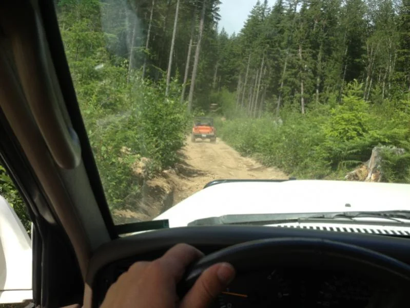image-690895513.webp