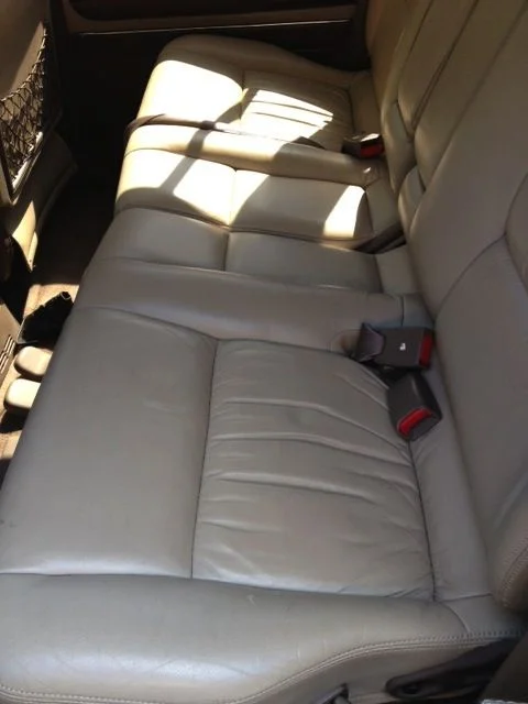 Image 7.webp