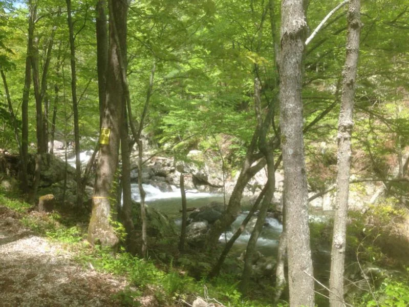 image-735315159.webp