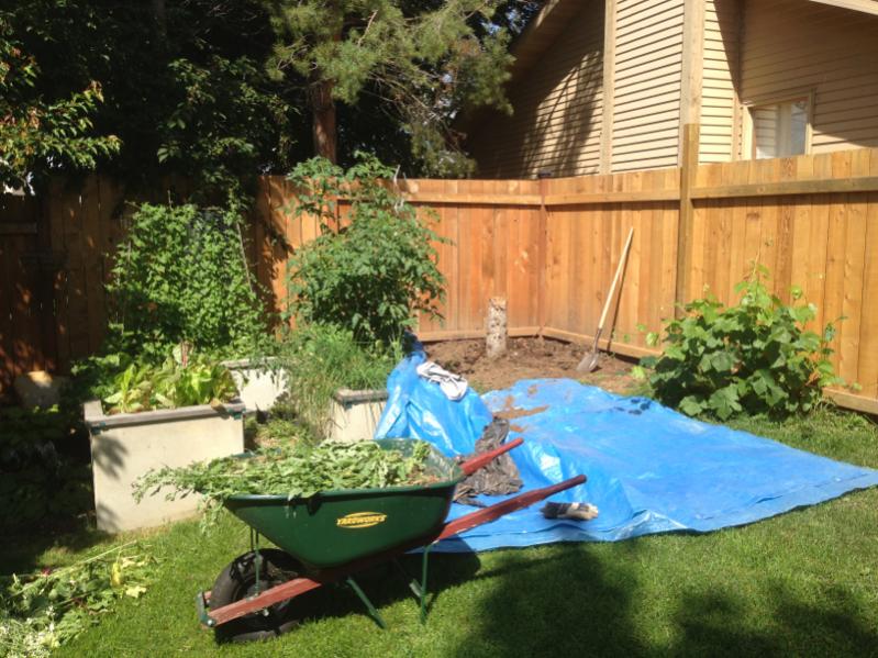 image-773299678.jpg