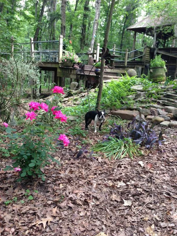 image-804919886.webp