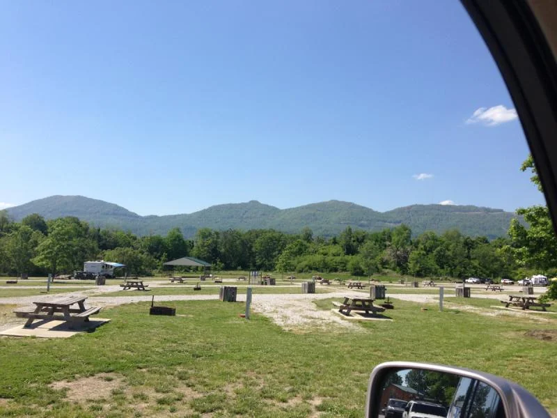 image-845386695.webp