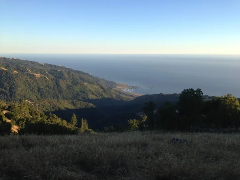 image-867309130.webp