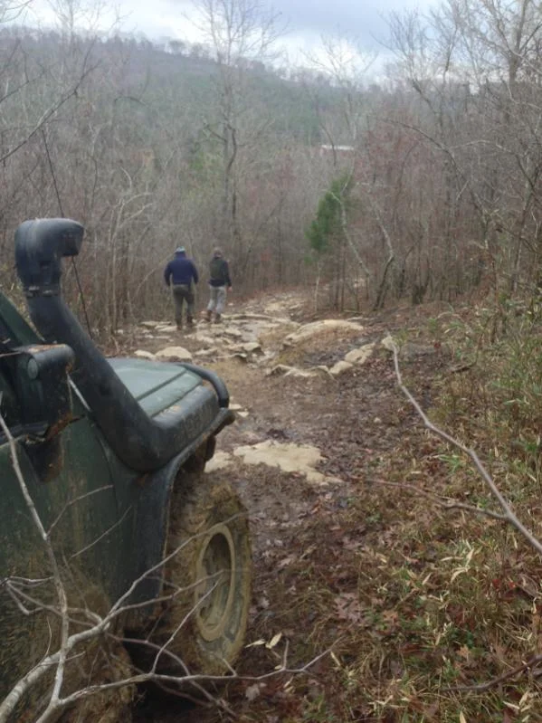 image-88867419.webp