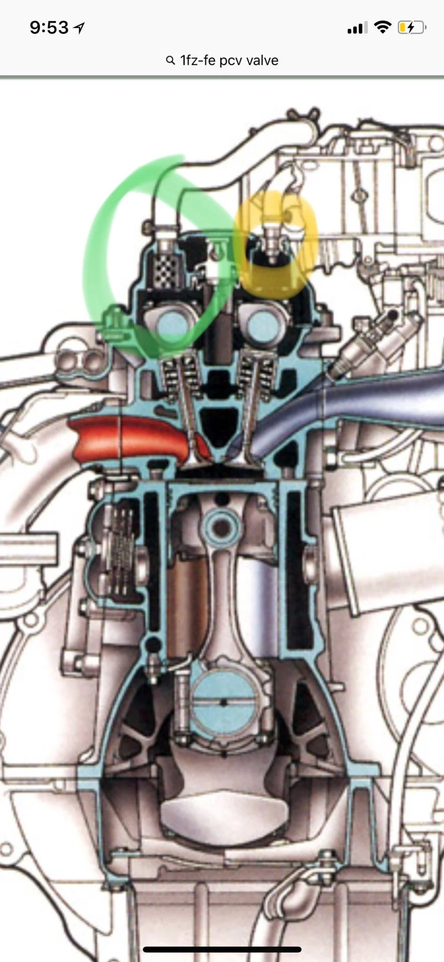 Image from iOS.webp
