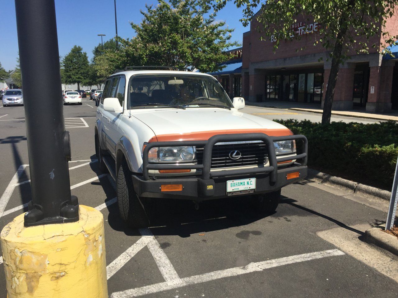 image.jpeg
