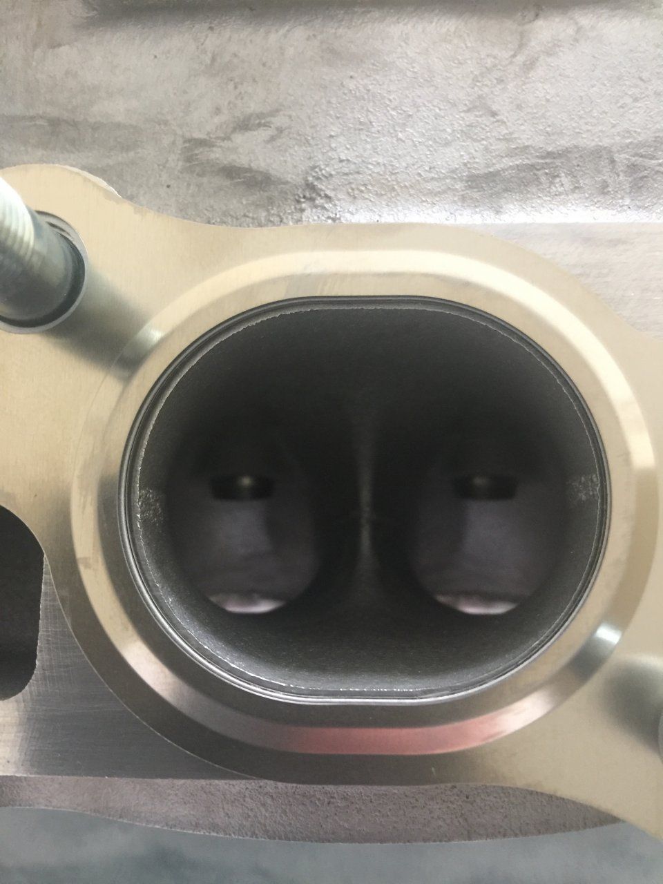 image.jpeg