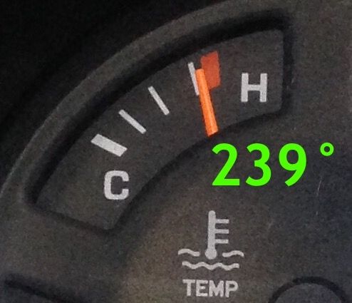 image.jpeg