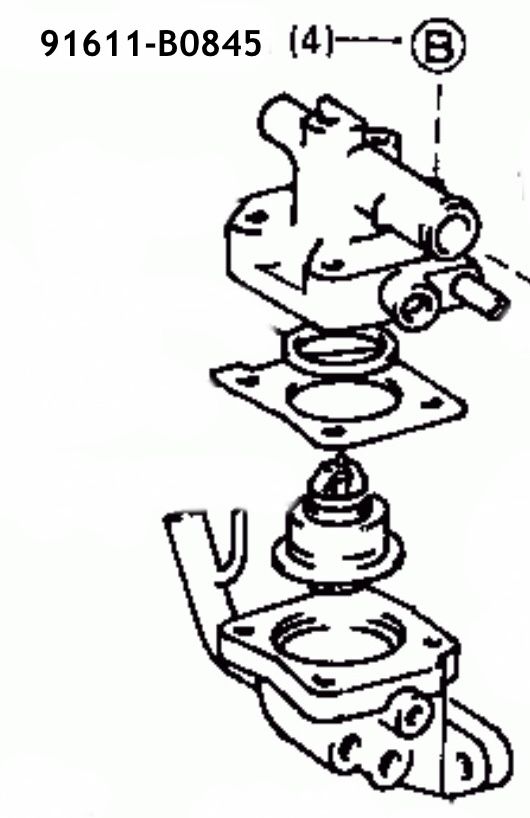 image.jpeg