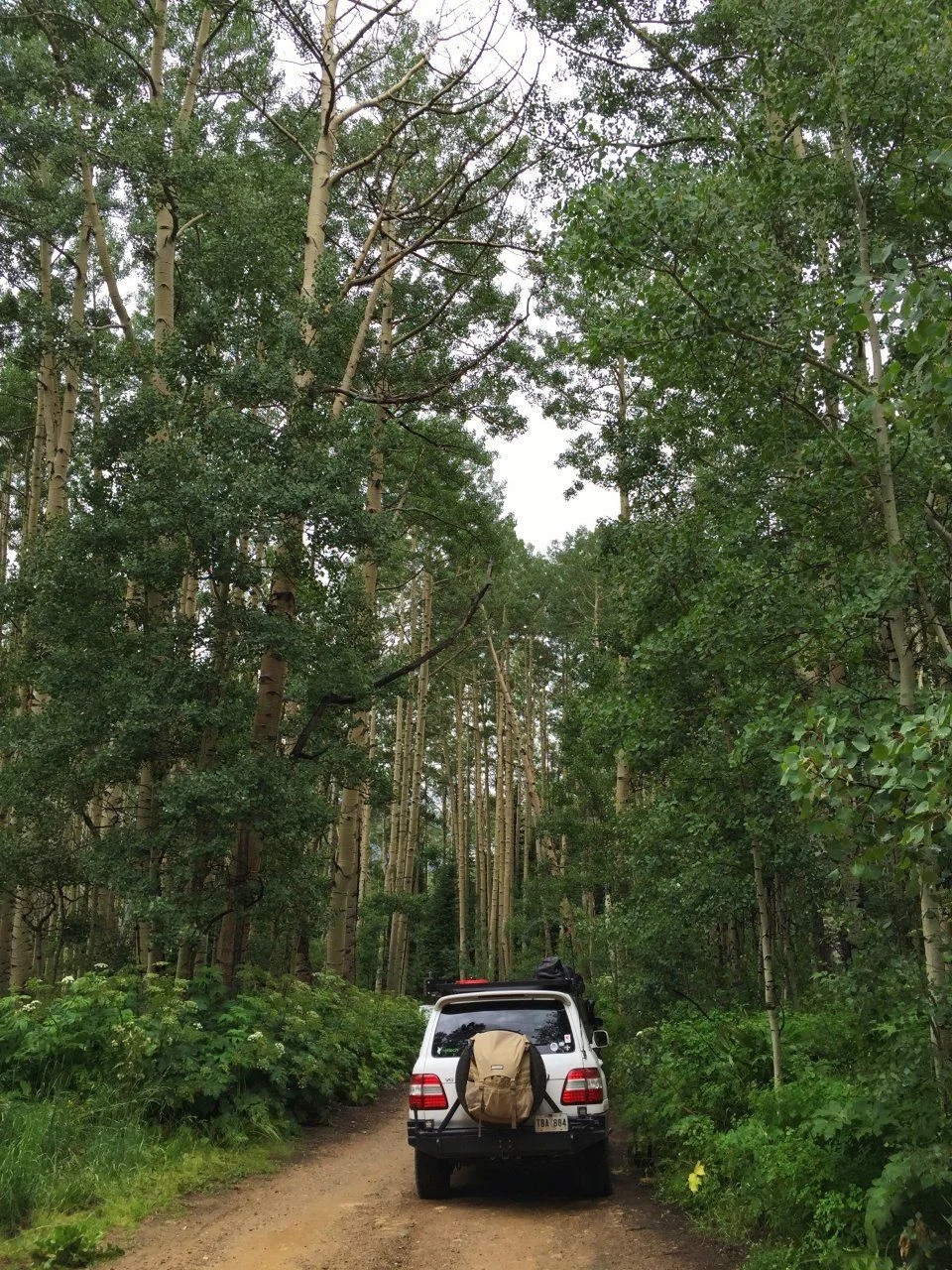 image-jpg.1116129.webp