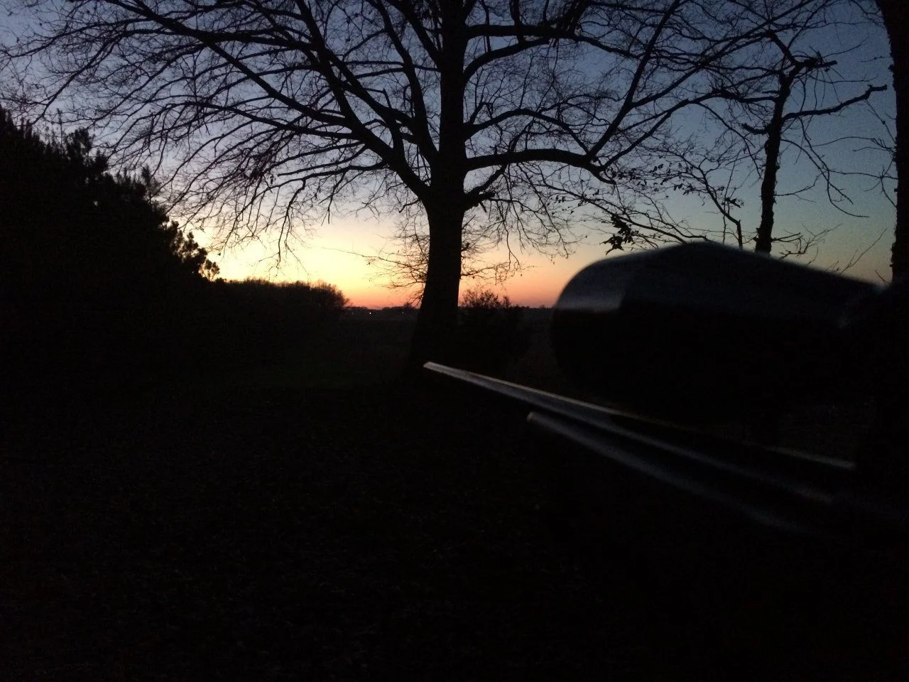 image.webp