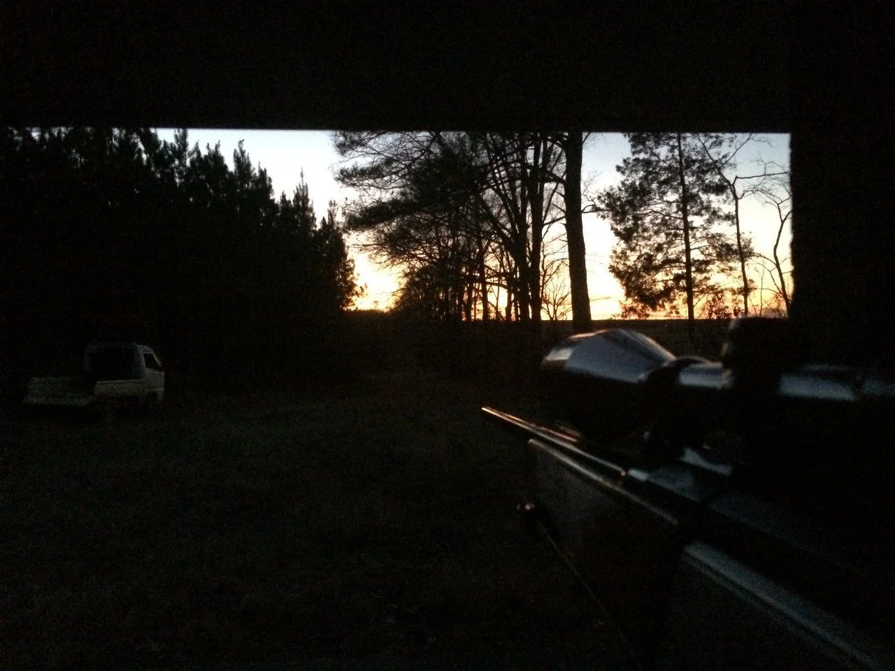 image.webp