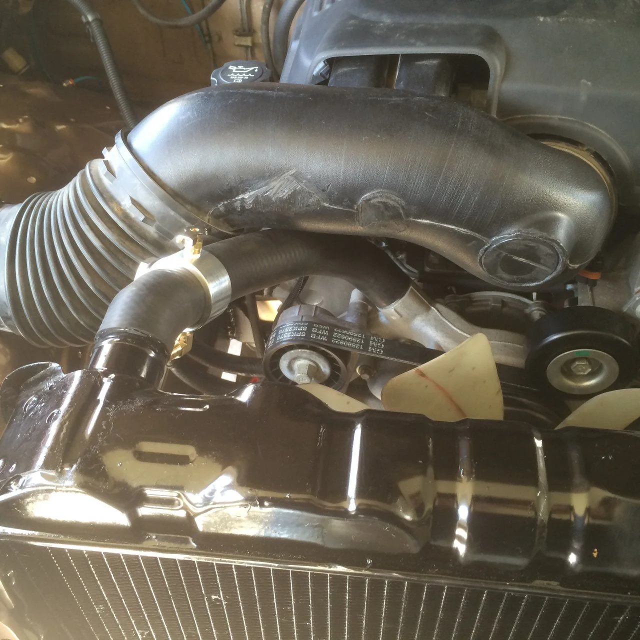image.webp