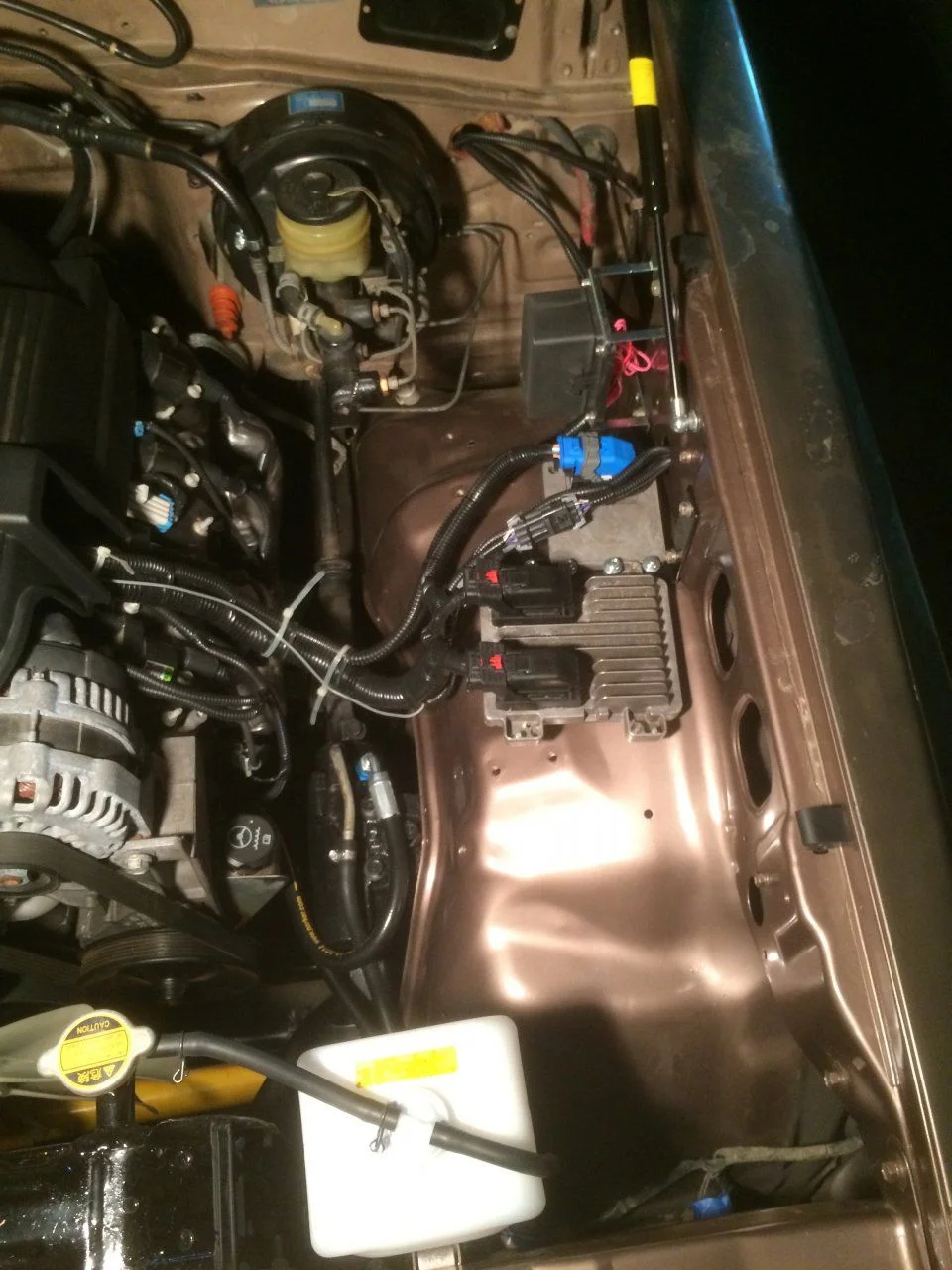 image.webp