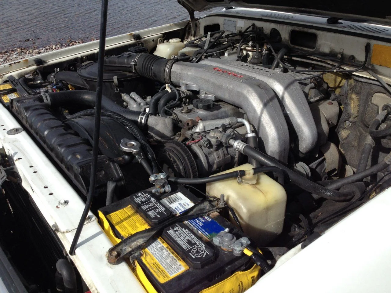 image.webp